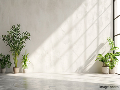 壁の下地イメージ｜乃木坂パークハウス