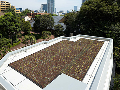 屋上緑化｜乃木坂パークハウス