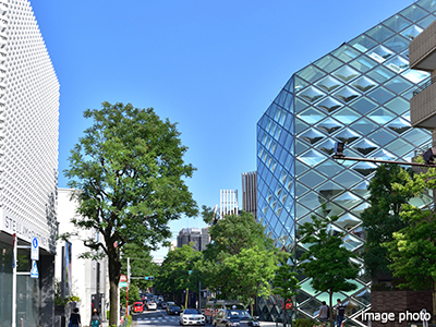 青山｜乃木坂パークハウス