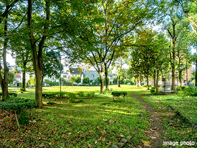 都立青山公園｜乃木坂パークハウス